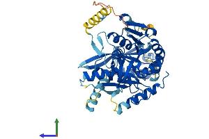 AlphaFold protein structure predicition of Human Recombinant UEVLD Protein, UniprotID Q8IX04