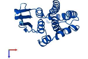 AlphaFold protein structure predicition of Human Recombinant HPGDS Protein, UniprotID O60760