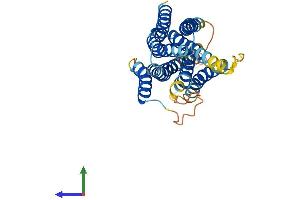 AlphaFold protein structure predicition of Human Recombinant SLC39A9 Protein, UniprotID Q9NUM3