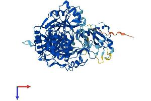 AlphaFold protein structure predicition of Human Recombinant AACS Protein, UniprotID Q86V21