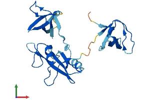 AlphaFold protein structure predicition of Human Recombinant GRB2 Protein, UniprotID P62993