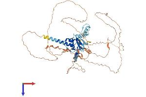 AlphaFold protein structure predicition of Human Recombinant ZBTB3 Protein, UniprotID Q9H5J0