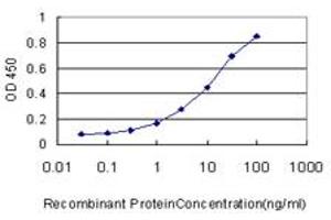 Detection limit for recombinant GST tagged IRX5 is approximately 0. (IRX5 anticorps  (AA 204-264))