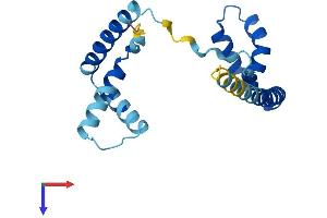 AlphaFold protein structure predicition of Mouse Recombinant Hmgb4 Protein, UniprotID Q6P8W9