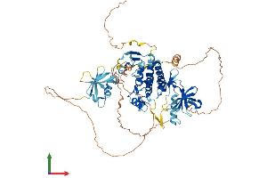 AlphaFold protein structure predicition of Mouse Recombinant Raf1 Protein, UniprotID Q99N57