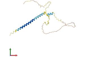 AlphaFold protein structure predicition of Human Recombinant TEX38 Protein, UniprotID Q6PEX7