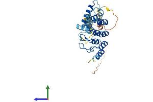 AlphaFold protein structure predicition of Human Recombinant ACBD6 Protein, UniprotID Q9BR61