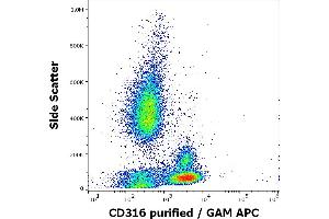 Flow cytometry surface staining pattern of human peripheral whole blood stained using anti-human CD316 (8A12) purified antibody (concentration in sample 5 μg/mL, GAM APC). (IGSF8 anticorps)