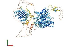 AlphaFold protein structure predicition of Mouse Recombinant Slc4a4 Protein, UniprotID O88343