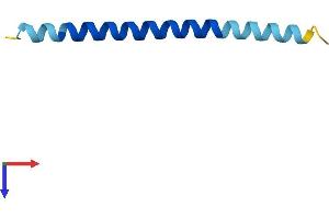 AlphaFold protein structure predicition of Human Recombinant COX14 Protein, UniprotID Q96I36