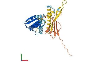 AlphaFold protein structure predicition of Human Recombinant DUSP15 Protein, UniprotID Q9H1R2