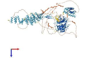 AlphaFold protein structure predicition of Human Recombinant SEC31A Protein, UniprotID O94979