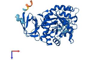 AlphaFold protein structure predicition of Human Recombinant AMDHD2 Protein, UniprotID Q9Y303