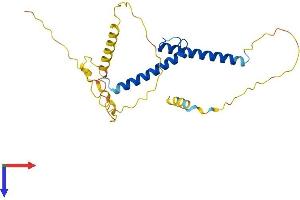 AlphaFold protein structure predicition of Human Recombinant ASCL1 Protein, UniprotID P50553