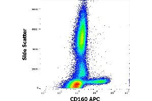 Flow cytometry surface staining pattern of human peripheral whole blood stained using anti-human CD160 (BY55) APC antibody (10 μL reagent / 100 μL of peripheral whole blood). (CD160 anticorps  (APC))