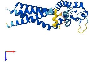 AlphaFold protein structure predicition of Mouse Recombinant Tspan1 Protein, UniprotID Q99J59