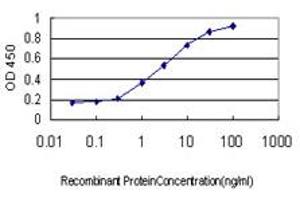 Detection limit for recombinant GST tagged RUNX2 is approximately 0.