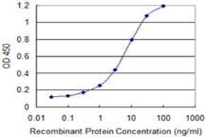 Detection limit for recombinant GST tagged EXOSC4 is 0. (EXOSC4 anticorps  (AA 1-100))