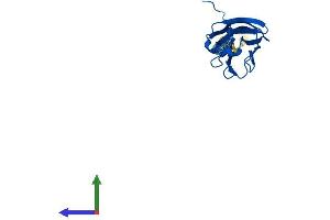 AlphaFold protein structure predicition of Mouse Recombinant Tnfsf18 Protein, UniprotID Q7TS55