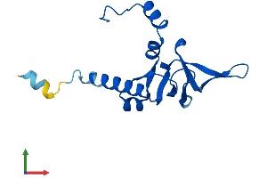 AlphaFold protein structure predicition of Mouse Recombinant Rpl26 Protein, UniprotID P61255