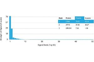 Analysis of Protein Array containing more than 19,000 full-length human proteins using CD68 Mouse Monoclonal Antibody (LAMP4/1830) Z- and S- Score: The Z-score represents the strength of a signal that a monoclonal antibody (MAb) (in combination with a fluorescently-tagged anti-IgG secondary antibody) produces when binding to a particular protein on the HuProtTM array. (CD68 anticorps  (AA 150-301))
