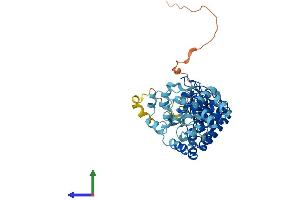 AlphaFold protein structure predicition of Human Recombinant ASB10 Protein, UniprotID Q8WXI3