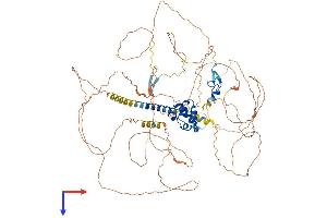 AlphaFold protein structure predicition of Mouse Recombinant Phc2 Protein, UniprotID Q9QWH1