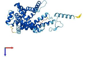 AlphaFold protein structure predicition of Mouse Recombinant Slc25a43 Protein, UniprotID A2A3V2