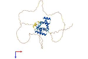AlphaFold protein structure predicition of Mouse Recombinant Pou3f4 Protein, UniprotID P62515