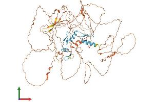AlphaFold protein structure predicition of Human Recombinant SP3 Protein, UniprotID Q02447