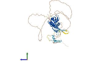 AlphaFold protein structure predicition of Human Recombinant KCTD8 Protein, UniprotID Q6ZWB6
