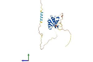 AlphaFold protein structure predicition of Mouse Recombinant Spic Protein, UniprotID Q6P3D7