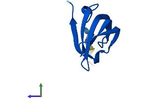 AlphaFold protein structure predicition of Human Recombinant SNRPG Protein, UniprotID P62308