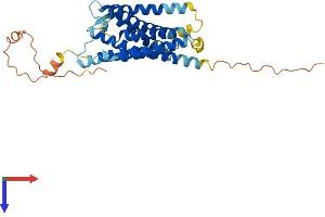 AlphaFold protein structure predicition of Human Recombinant ACKR1 Protein, UniprotID Q16570