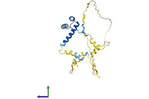 AlphaFold protein structure predicition of Mouse Recombinant Emx2 Protein, UniprotID Q04744