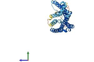AlphaFold protein structure predicition of Human Recombinant OR3A2 Protein, UniprotID P47893