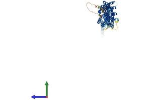 AlphaFold protein structure predicition of Mouse Recombinant Exoc7 Protein, UniprotID O35250