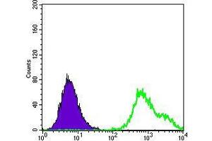 Flow cytometric analysis of HepG2 cells using HSP27 mouse mAb (green) and negative control (purple).