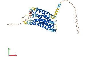 AlphaFold protein structure predicition of Mouse Recombinant Cmklr1 Protein, UniprotID P97468