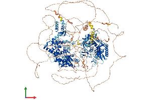 AlphaFold protein structure predicition of Human Recombinant TUT4 Protein, UniprotID Q5TAX3