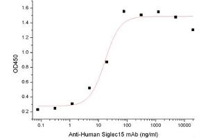ELISA image for Sialic Acid Binding Ig-Like Lectin 15 (SIGLEC15) (Active) protein (Fc Tag) (ABIN7319768)