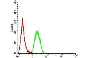Flow cytometric analysis of Hela cells using KMT5A mouse mAb (green) and negative control (red).