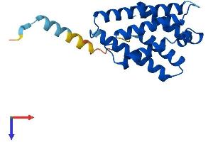 AlphaFold protein structure predicition of Mouse Recombinant Tnfaip8l2 Protein, UniprotID Q9D8Y7