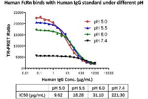 The kit has been used to detect the binding activity between Human FcRn and Human IgG standard under different pH.