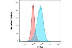 Flow Cytometric Analysis of Ramos cells using CD86 Rabbit Recombinant Monoclonal Antibody (C86/2160R) followed by goat anti-Mouse IgG-CF488 (Blue); Isotype Control (Red). (Recombinant CD86 anticorps)