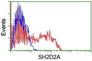 HEK293T cells transfected with either RC204162 overexpress plasmid (Red) or empty vector control plasmid (Blue) were immunostained by anti-SH2D2A antibody (ABIN2455660), and then analyzed by flow cytometry. (SH2D2A anticorps)