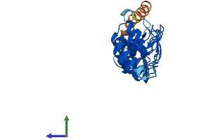 AlphaFold protein structure predicition of Human Recombinant ANKRD19P Protein, UniprotID Q9H560
