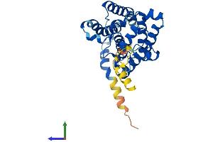 AlphaFold protein structure predicition of Mouse Recombinant Ch25h Protein, UniprotID Q9Z0F5
