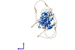 AlphaFold protein structure predicition of Human Recombinant TTLL2 Protein, UniprotID Q9BWV7