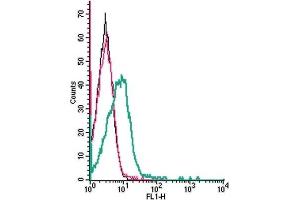 Cell surface detection of Ephrin-A1 by indirect flow cytometry in live intact human Jurkat T-cell leukemia cells: (black line) Cells.